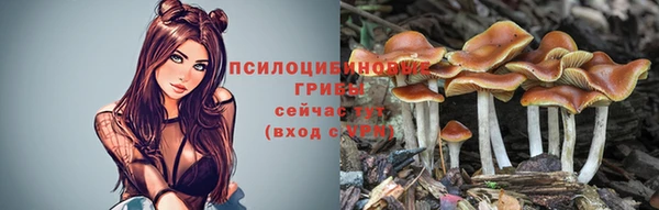 герыч Кинешма