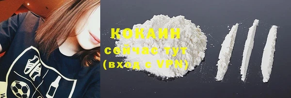 шишки Киренск