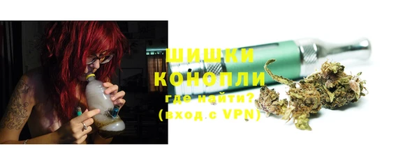 шишки Киренск