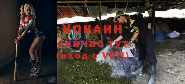 шишки Киренск